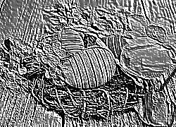 Skamielina