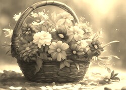 Szary + Sepia