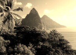Szary + Sepia