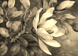 Szary + Sepia