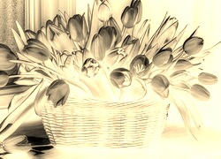 Sepia + Negatyw
