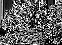Skamielina