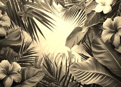 Szary + Sepia