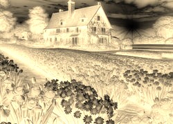 Sepia + Negatyw