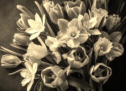 Szary + Sepia
