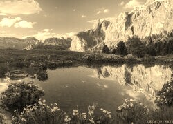 Szary + Sepia