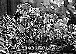 Skamielina