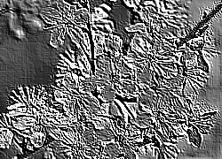 Skamielina
