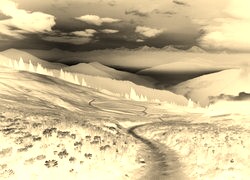 Sepia + Negatyw