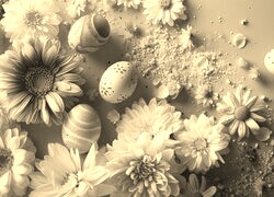 Szary + Sepia