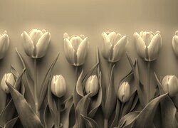 Szary + Sepia