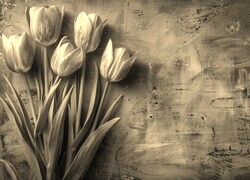 Szary + Sepia