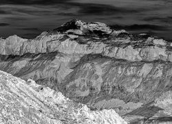Szary + Negatyw