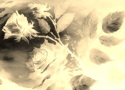 Sepia + Negatyw