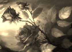 Szary + Sepia