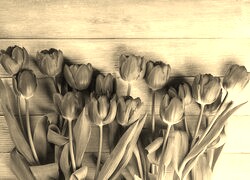 Szary + Sepia