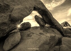 Szary + Sepia