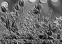 Skamielina