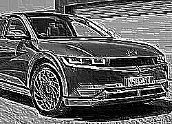 Skamielina