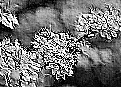 Skamielina