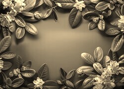 Szary + Sepia