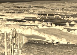 Sepia + Negatyw