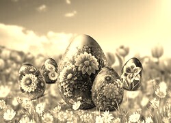 Szary + Sepia