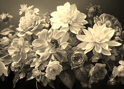 Szary + Sepia
