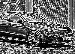 Skamielina