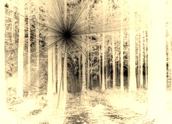 Sepia + Negatyw