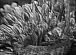 Skamielina