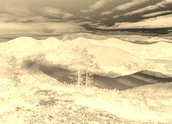 Sepia + Negatyw