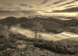 Szary + Sepia