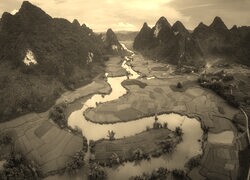 Sepia