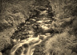 Sepia