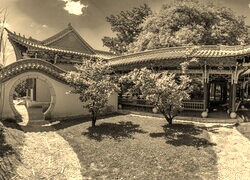 Szary + Sepia