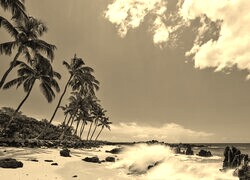 Szary + Sepia