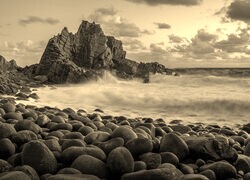 Szary + Sepia