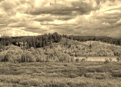 Sepia