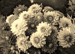 Szary + Sepia