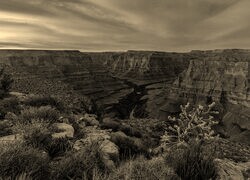 Sepia