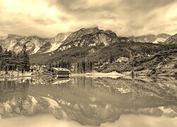 Szary + Sepia