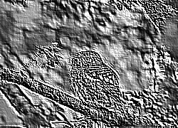 Skamielina