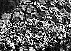 Skamielina