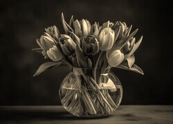 Szary + Sepia