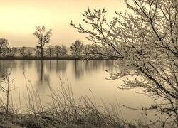 Szary + Sepia