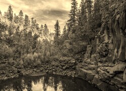 Szary + Sepia