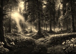 Szary + Sepia