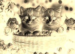 Sepia + Negatyw