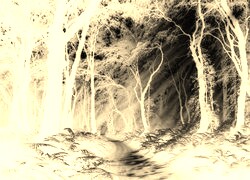 Sepia + Negatyw